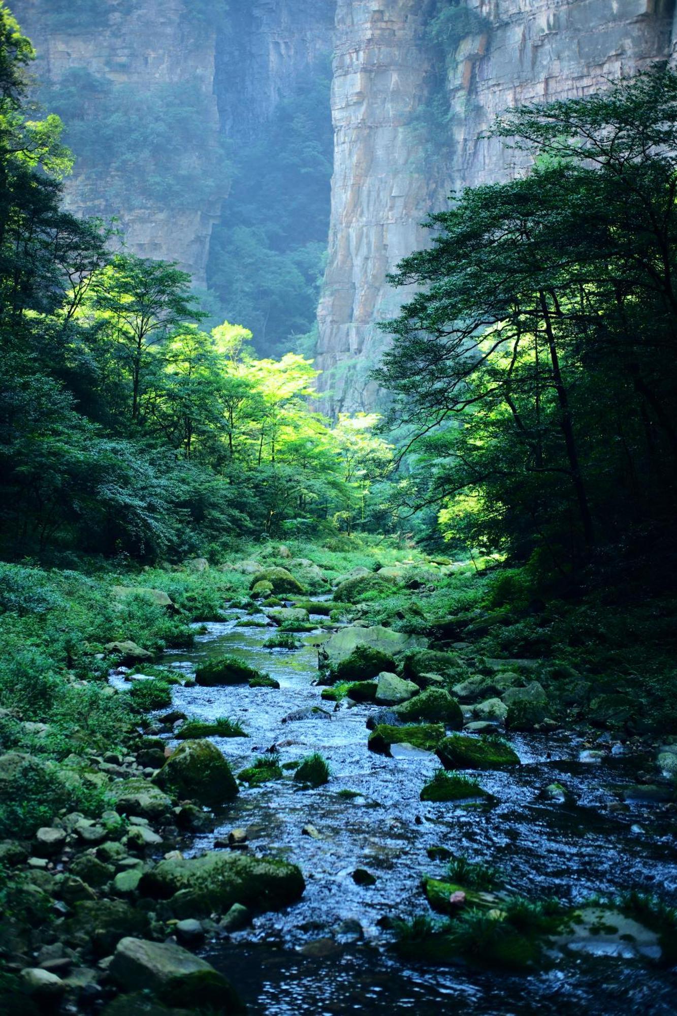 Zhangjiajie Forest Park Youth Hostel Exterior photo